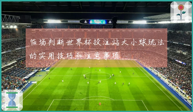 临场判断世界杯投注站大小球玩法的实用技巧和注意事项