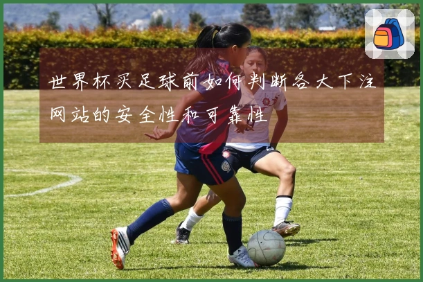 世界杯买足球前如何判断各大下注网站的安全性和可靠性