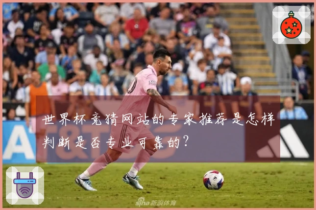 世界杯竞猜网站的专家推荐是怎样判断是否专业可靠的？