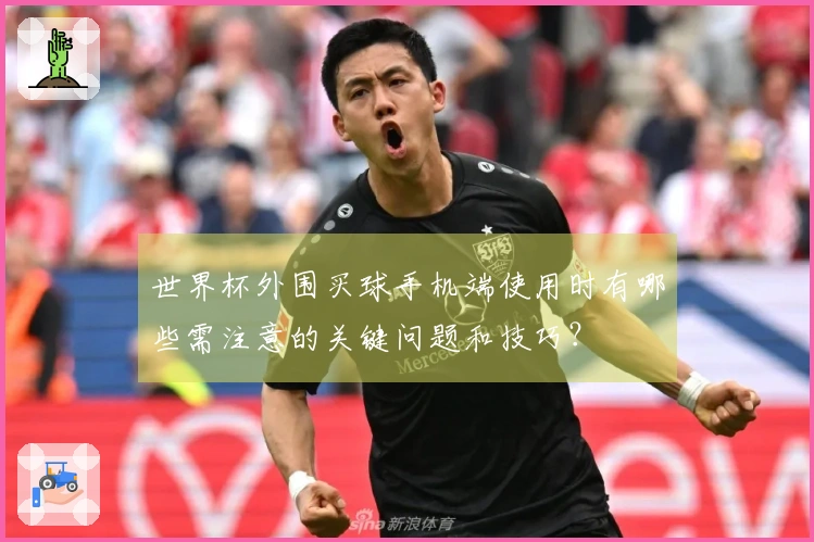 世界杯外围买球手机端使用时有哪些需注意的关键问题和技巧？